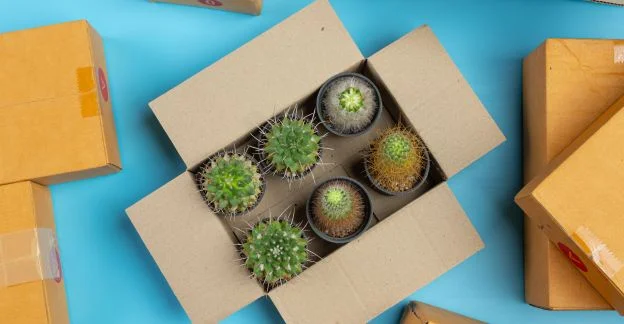 packaging box suppliers near johannesburg - inner
